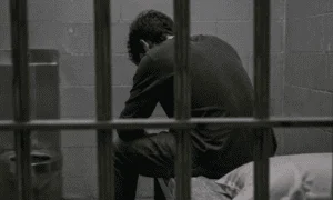 portada_1786710806_1392