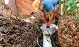 portada_1783371717_2352