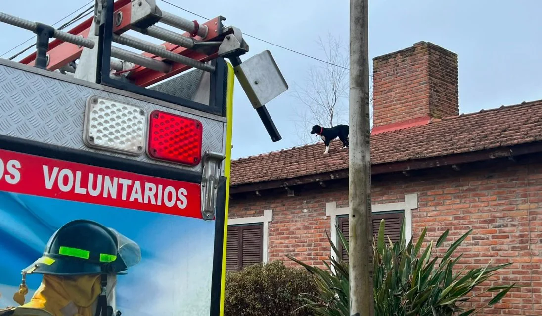 portada_1784813324_4392