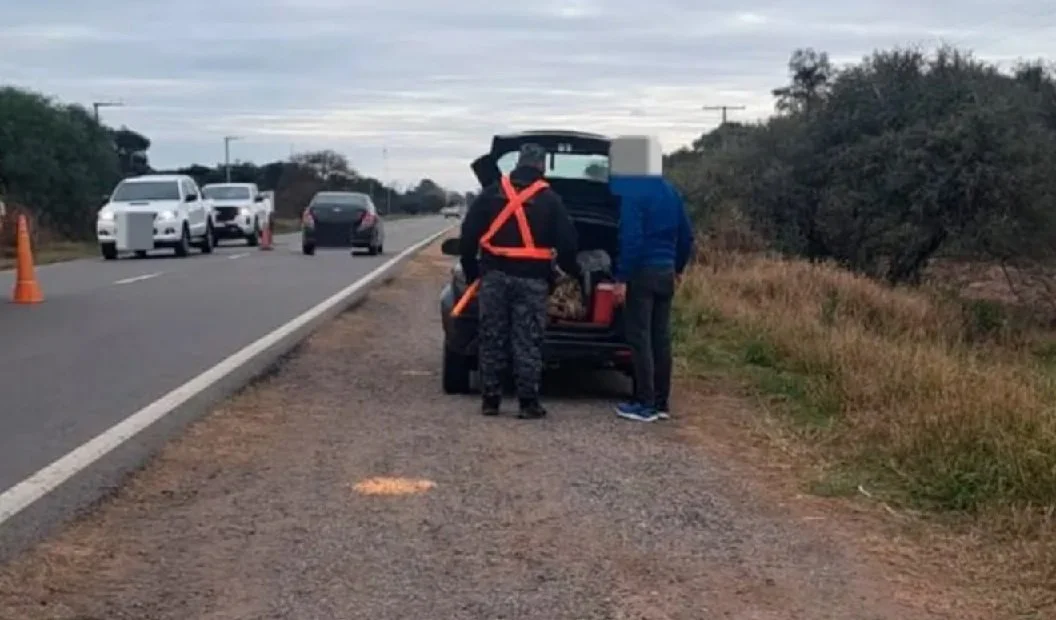 portada_1783458414_7708