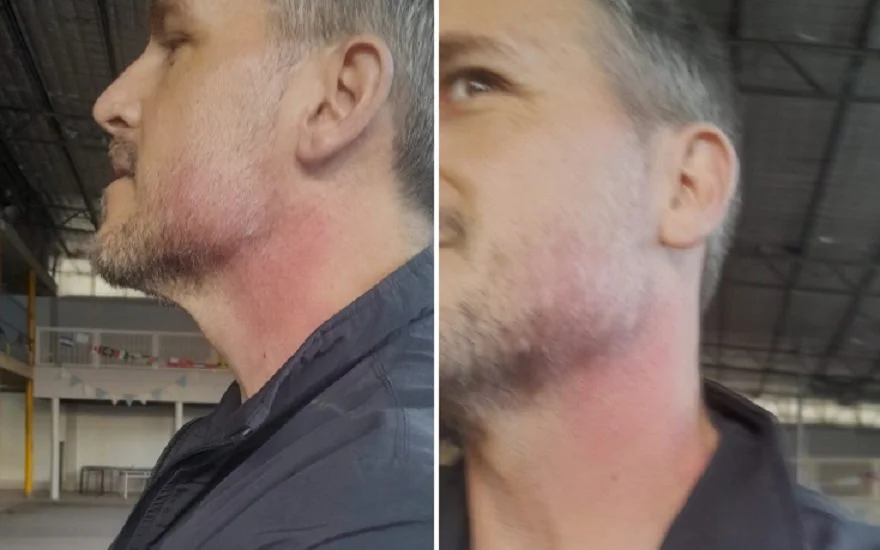 portada_1793024694_2336