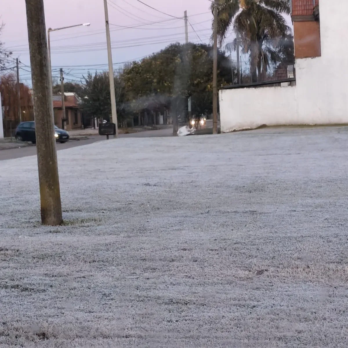 portada_1783340384_11648