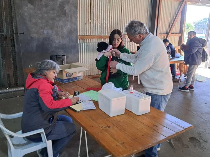 portada_1784635818_14536